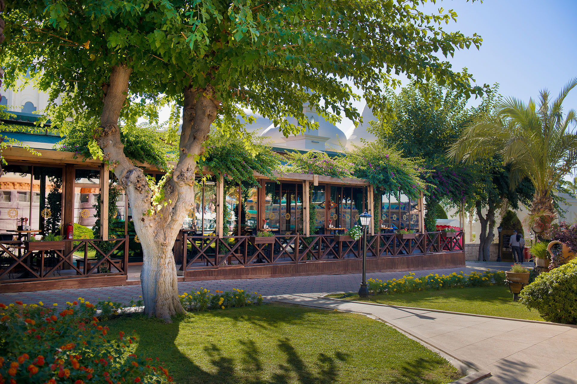 Kamelya Collection Aishen K Club