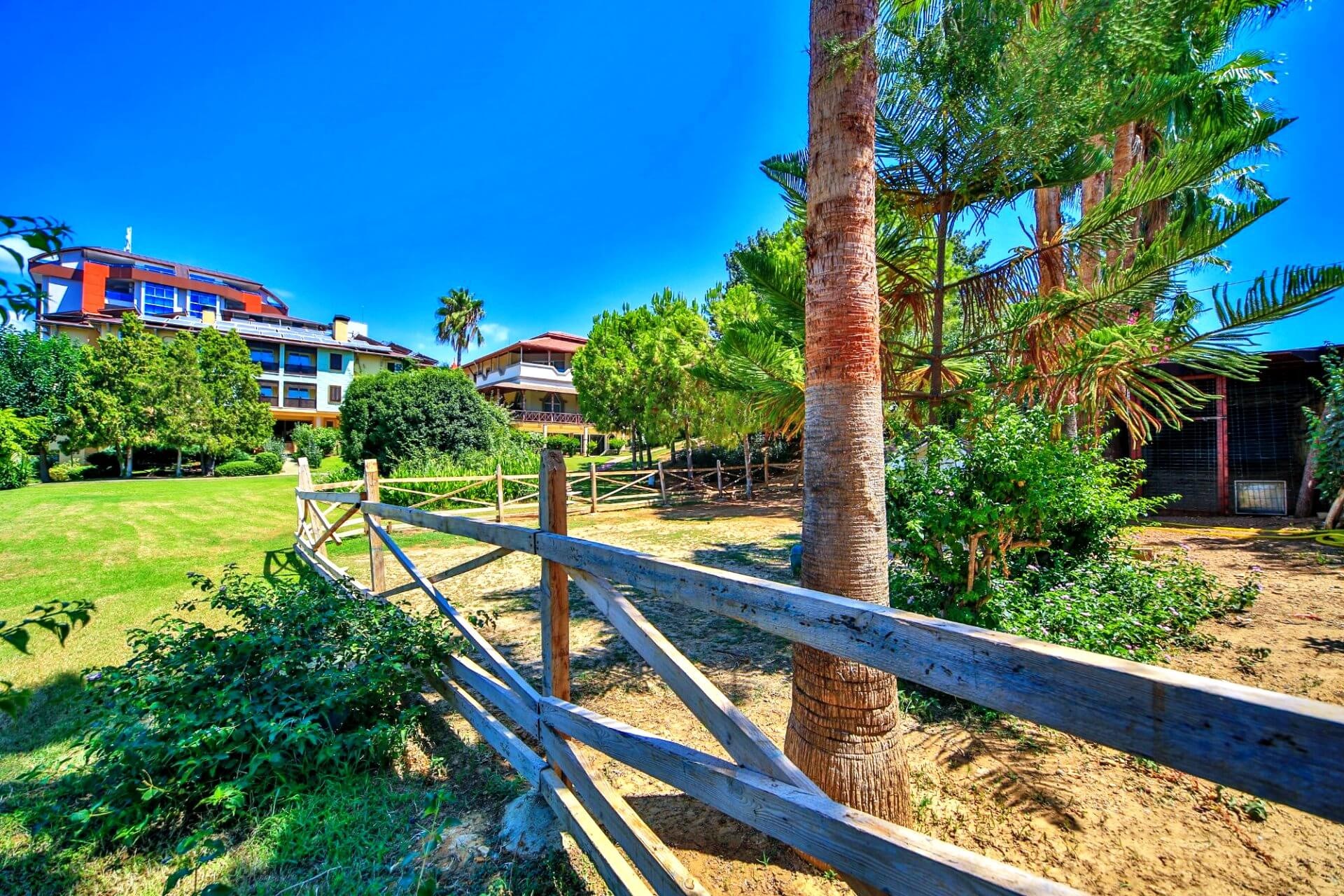 Lonicera Resort & Spa Hotel