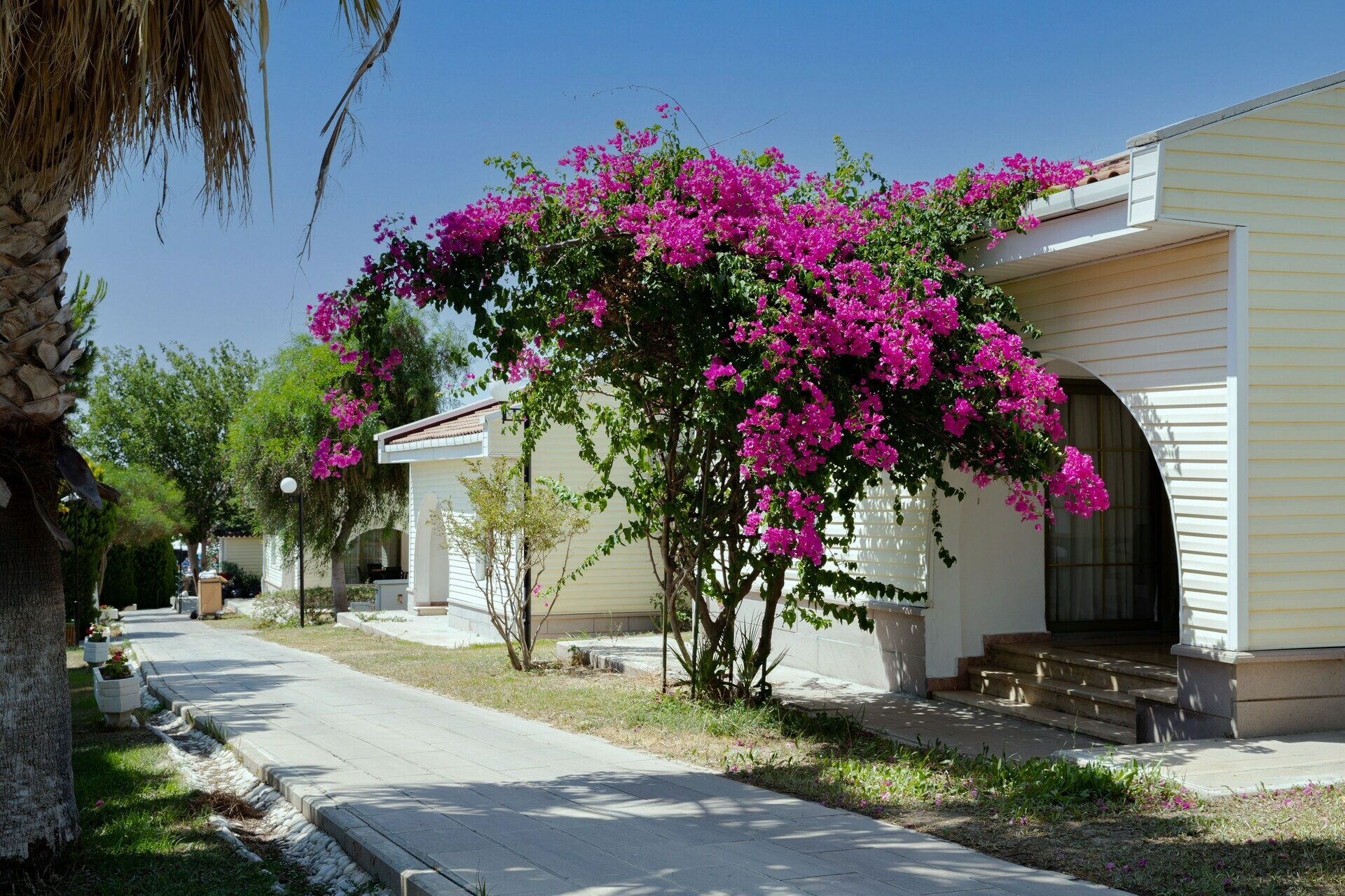 Anadolu Hotels Didim Club