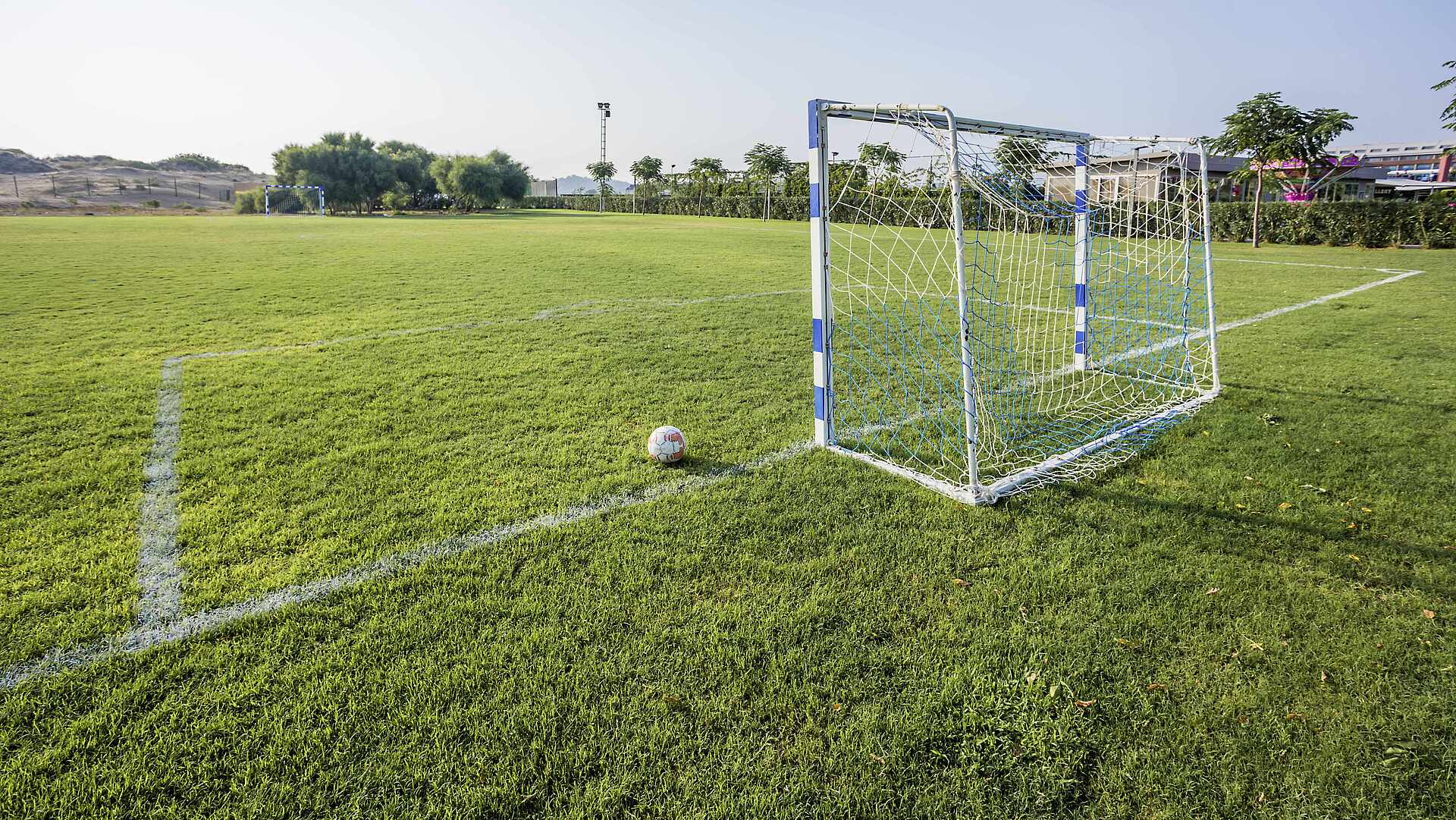 TUI Magic Life Jacaranda