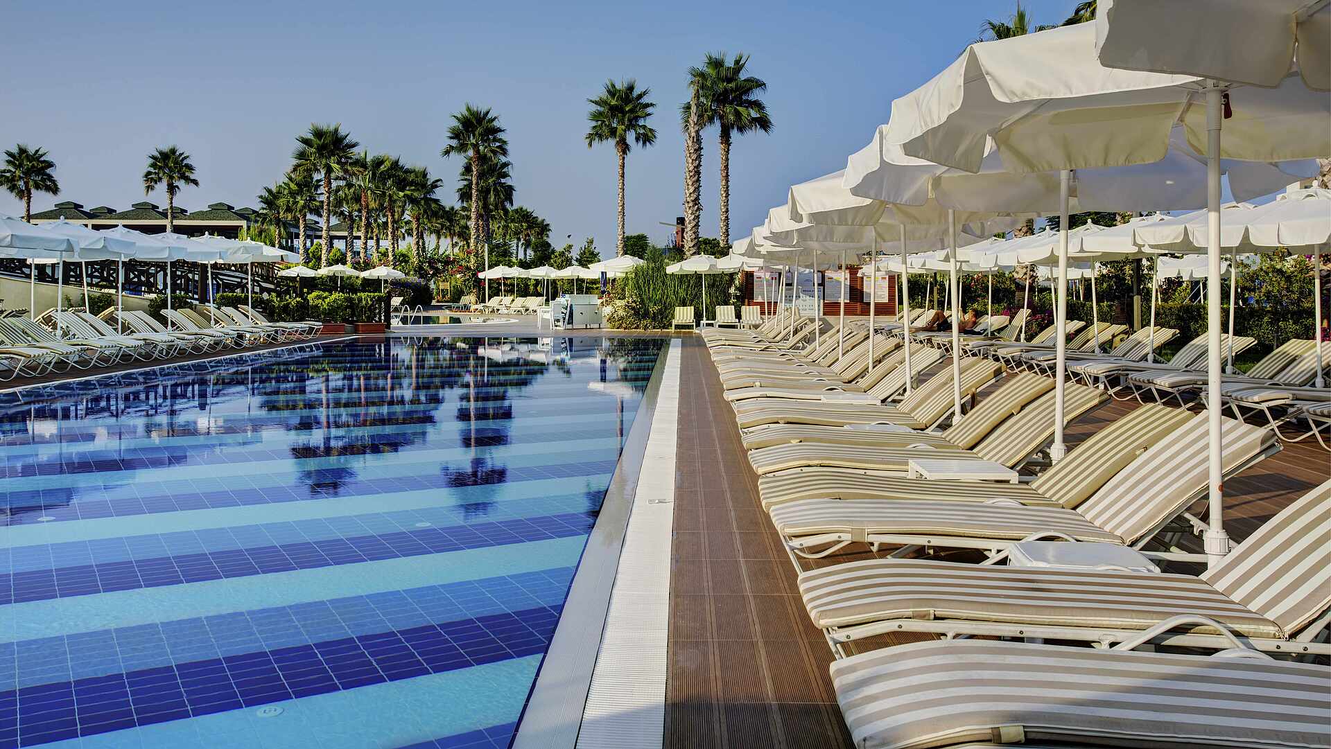 TUI Magic Life Jacaranda